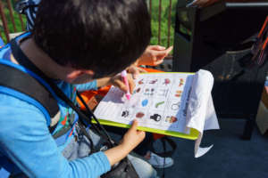 Nature Bingo, great team work