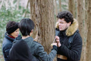 Working together to measure how big trees were