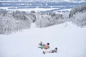 Fun in the snow in 2020