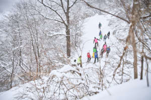 Snowshoeing adventure in 2020