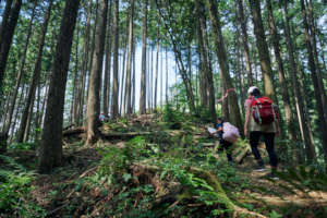 Hiking with nature map