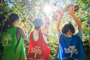 Campers with colorful leaves