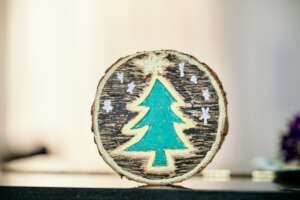 Christmas craft