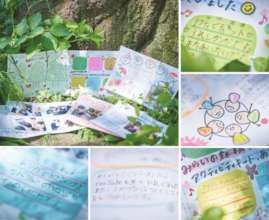 Activity Kit Thank you cards