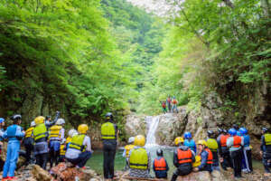 Summer Camp's Stream Hike