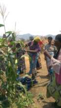 work in the fields