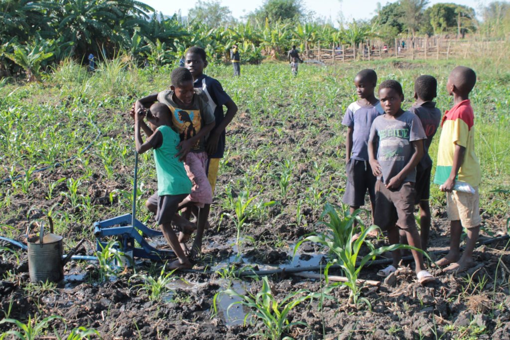 Water for All: pedal pumps and wells for families