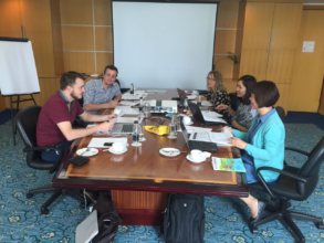 The team working on the annual work plan