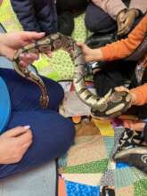 Younger residents meeting a snake