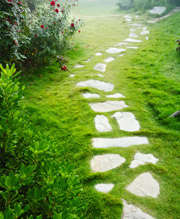 Path