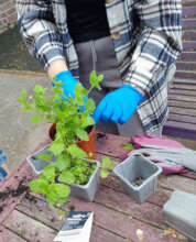 Gardening session at refuge