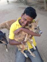 Staff member Bunty cuddles dogs