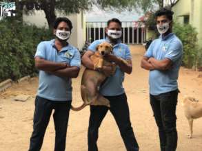 TOLFA Staff in masks with an amputee shelter dog