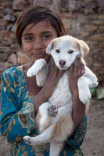 Local girl with a puppy