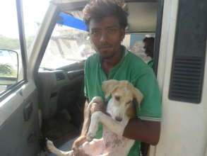 Puppy being rescued by TOLFA staff