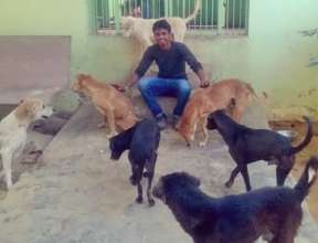 Staff member Ajay with our dogs