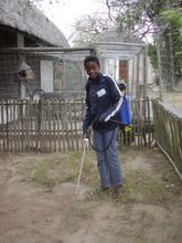 Disinfection of a duiker camp