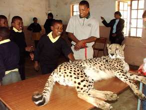 Photo: De Wildt Cheetah and Wildlife Trust