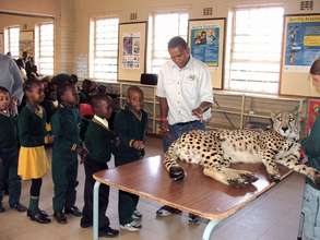 Photo: The Dewildt Cheetah and Wildlife Trust