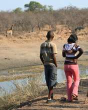 Bush walk with giraffe in background