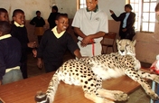A Retired Cheetah Teaches Poor South African Youth
