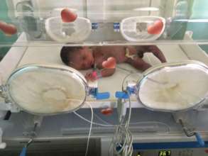 Newborn baby in the incubator