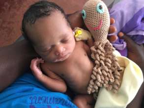 Premature neonate with an octopus