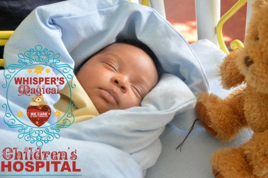 Help a Malnourished Child with Whisper's Hospital
