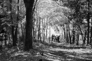 Children in forest
