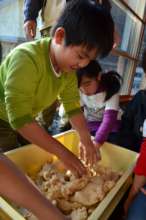 Making soy bean paste for Miso