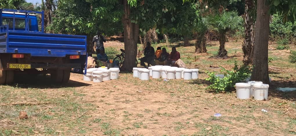 Collect of honey harvest in a village