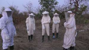 Ready for honey harvesting