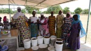 Women beekeepers from Sissa