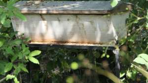 Hive which need some cleaning