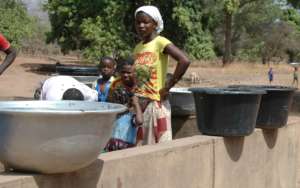 Bees coming for water at a water well