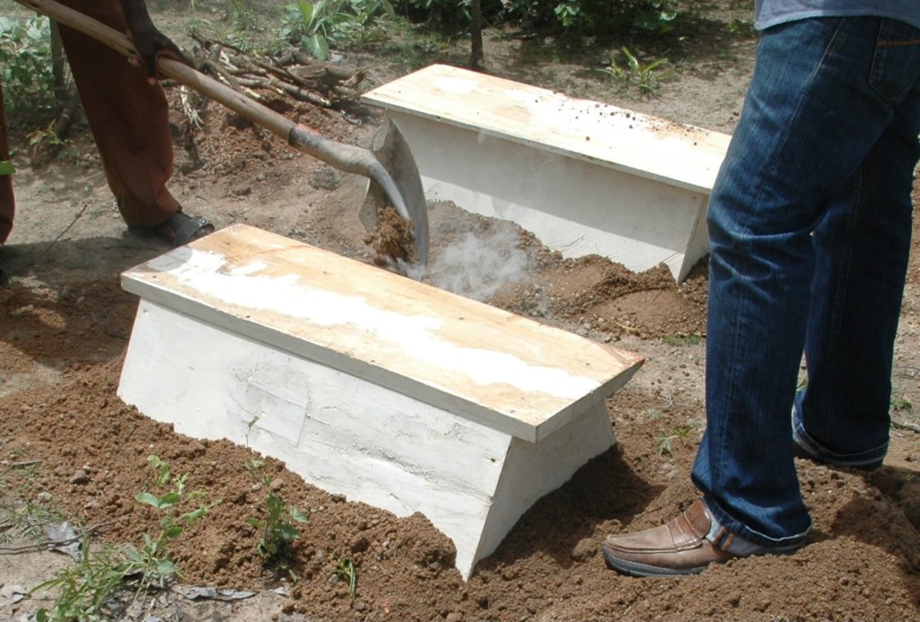 Help women increase their income with beekeeping