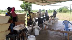 Beehives given in Sissa