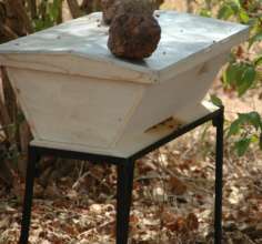 Modern or Kenyan hive