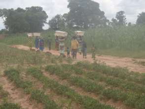 A women takes her 5 hives to her home place