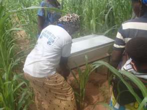 Placing a bee hive in the field