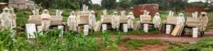 women beekeepers