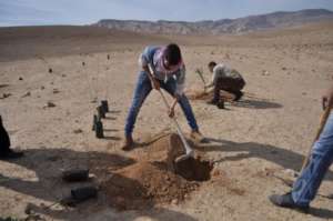 Planting in the Jordan Valley