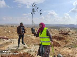 Tree planting in winter 2022