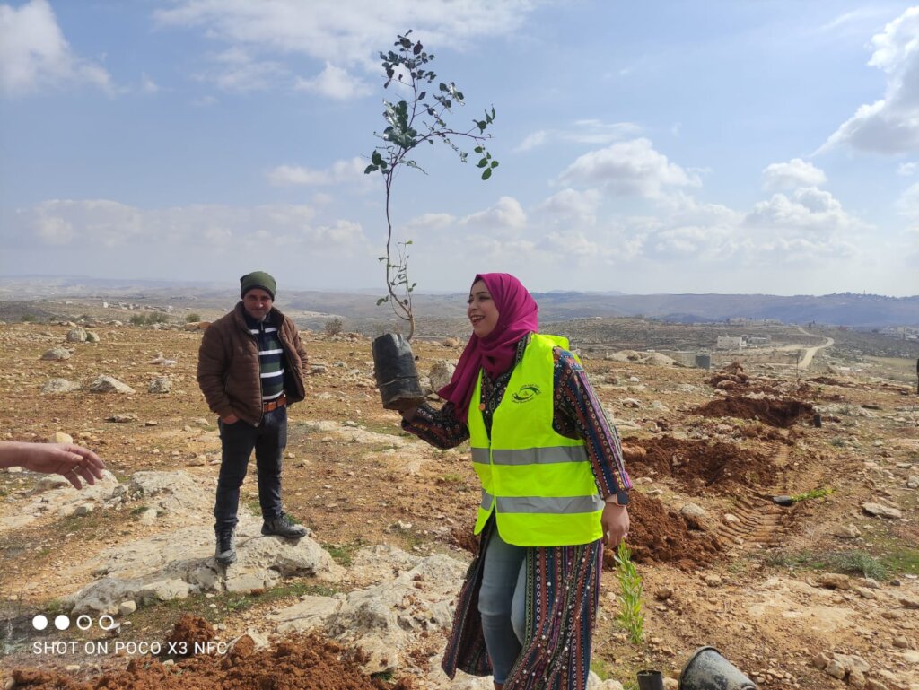 Plant a Tree in Palestine
