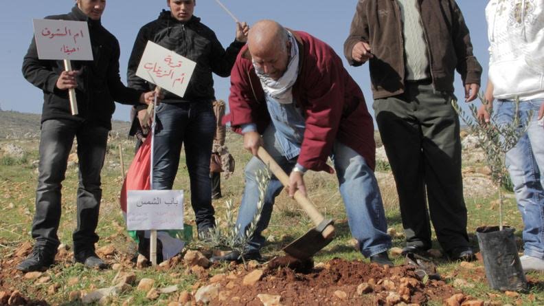 Plant a Tree in Palestine