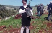 Plant a Tree in Palestine