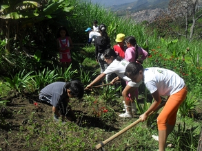 Boys and girls planting