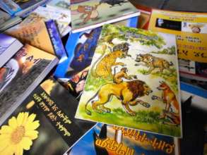 Each library received 96 children's books.
