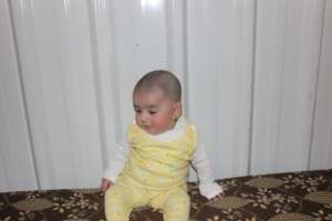 Ghazal explores her surroundings