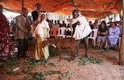 Berhane Hewan: Reducing Child Marriage in Ethiopia